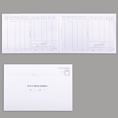 Книги бухгалтерские 