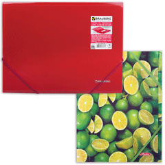 Папки на резинках пластиковые 