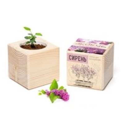 Наборы для выращивания растений 