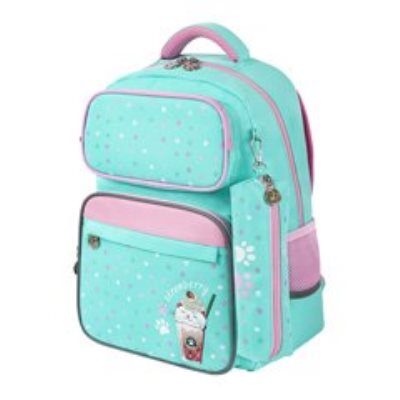 Рюкзаки школьные 