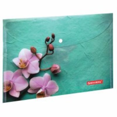 Папки-конверты с кнопкой 